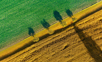 Environment and fuel courses