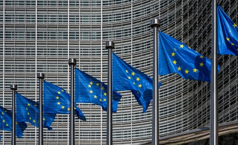 European Union Flags.jpg