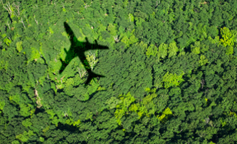 Sustainability & Economics Insights