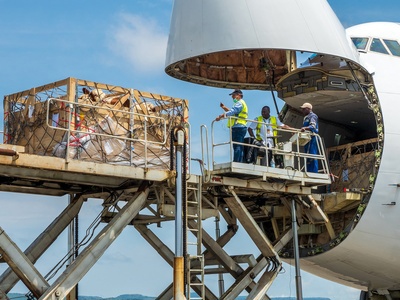 web_cows-on-cargo-plane_credit_schusterbauer.com_shutterstock_1829777669.jpg